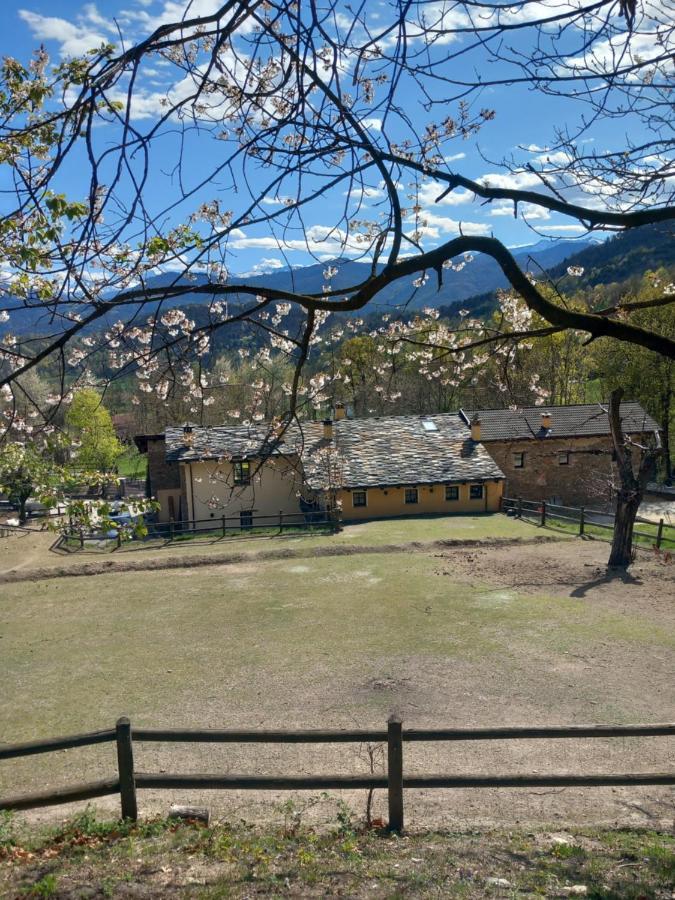 Country House Le Gaie Allegre Villar San Costanzo Εξωτερικό φωτογραφία